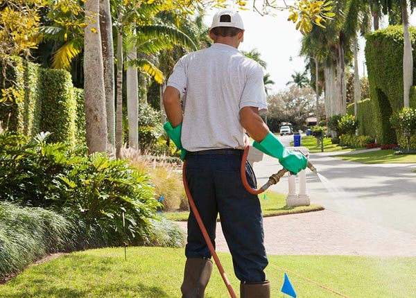 About Oakley CA Pest Control